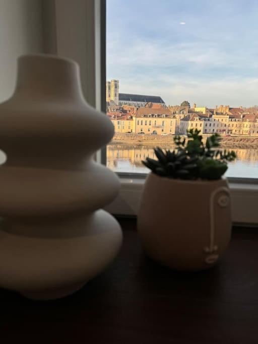 Appartement Avec Magnifique Vue Sur La Saone Et Son Balcon Chalon sur Saone Esterno foto
