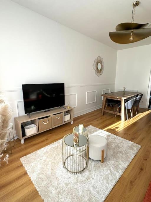 Appartement Avec Magnifique Vue Sur La Saone Et Son Balcon Chalon sur Saone Esterno foto