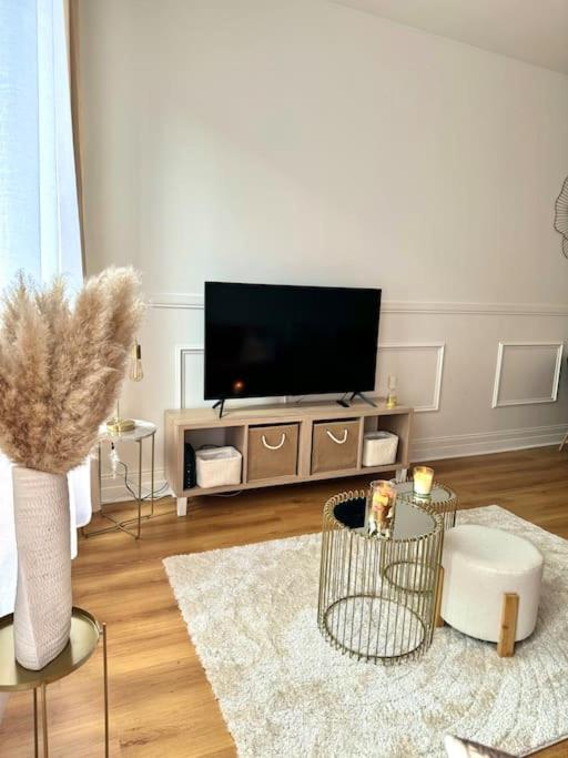 Appartement Avec Magnifique Vue Sur La Saone Et Son Balcon Chalon sur Saone Esterno foto